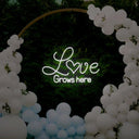 Love Grows Here Neon Sign - Reels Custom