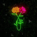 Personalized Name Infinity Symbol line drawing Led - Reels Custom