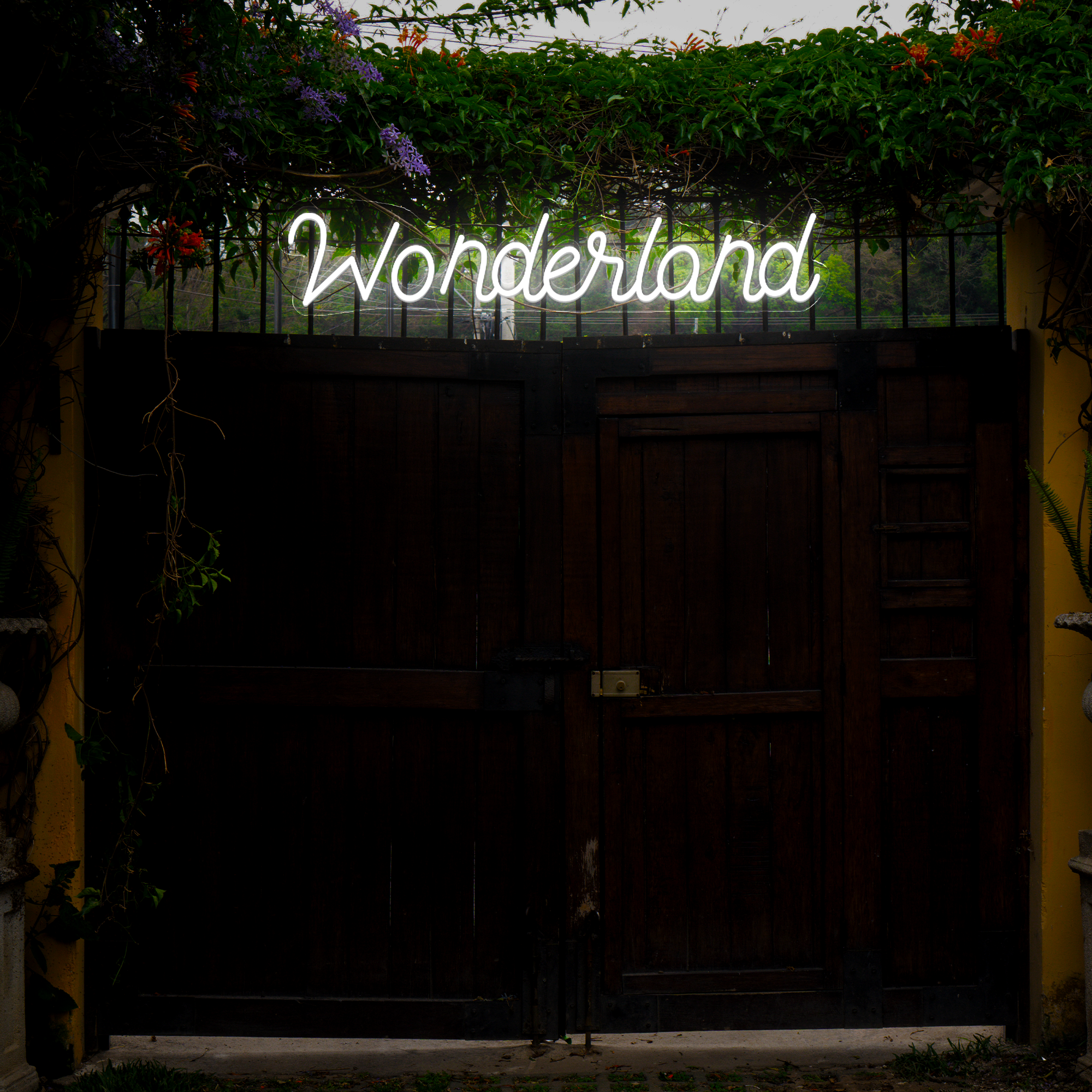 Wonderland Neon Sign