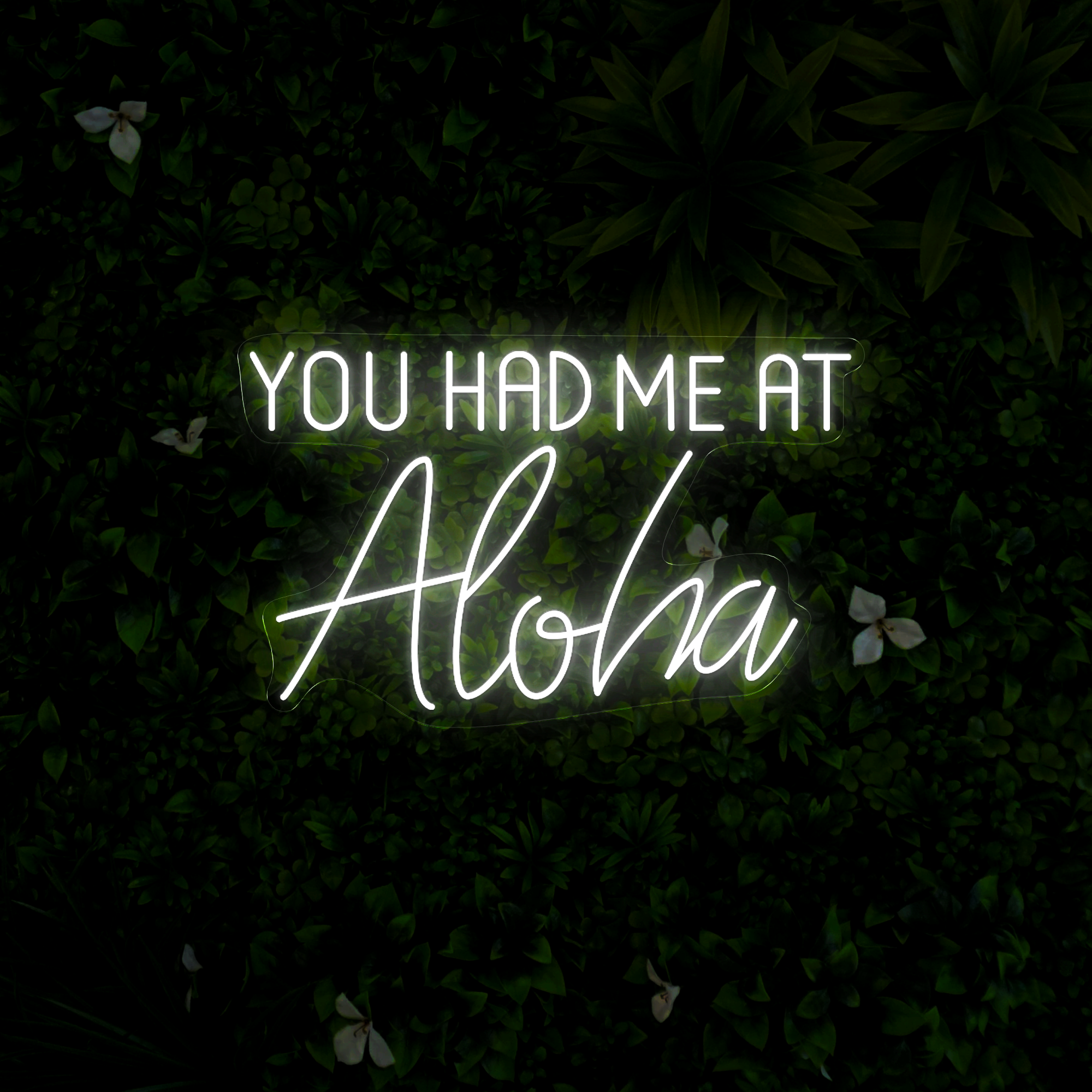 You Had Me At Aloha Neon Sign