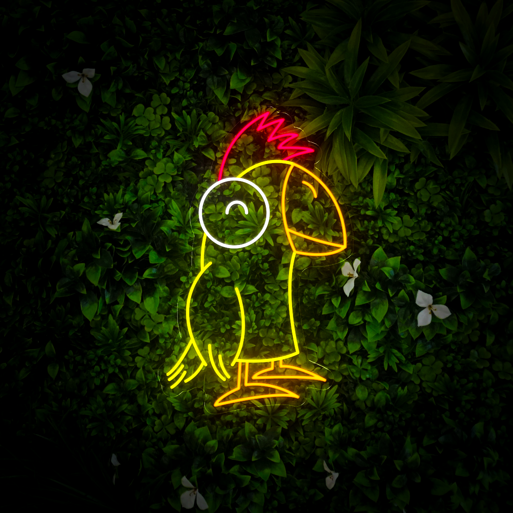 Parrot Led Neon Sign