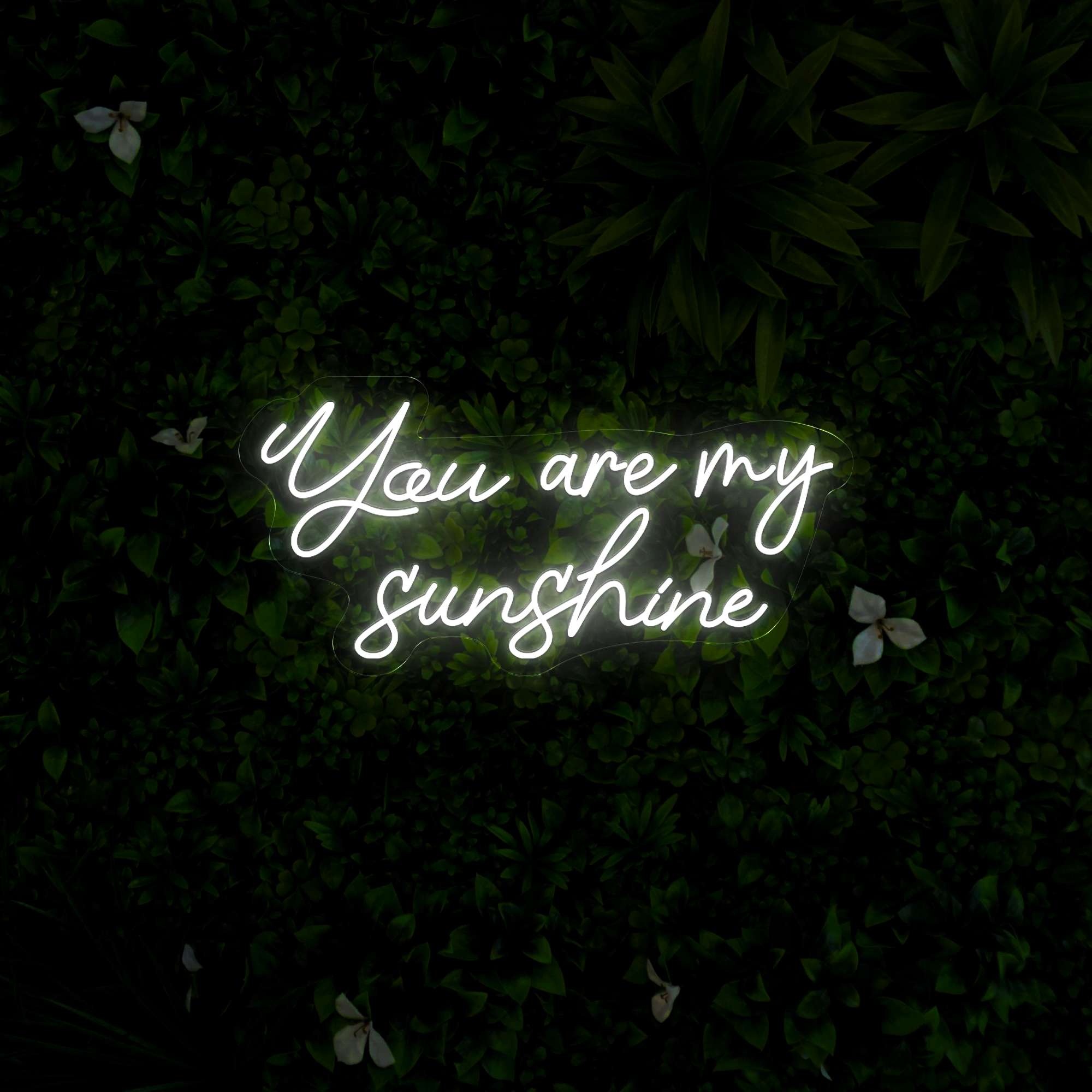 You Are My Sunshine Neon Sign