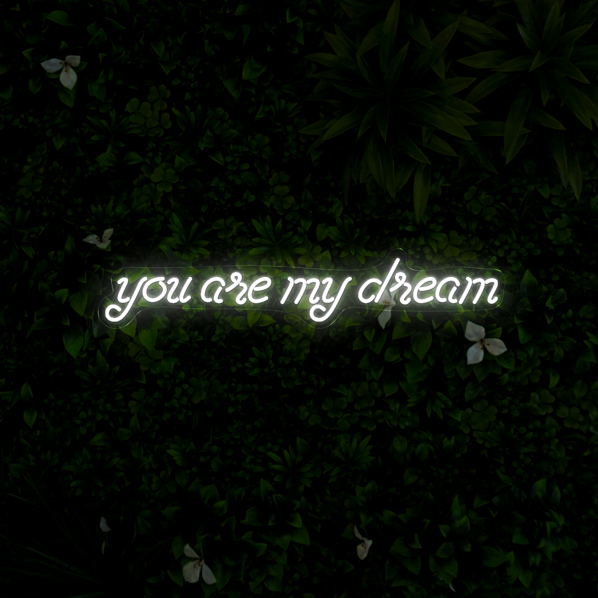 You Are My Dream Neon Sign