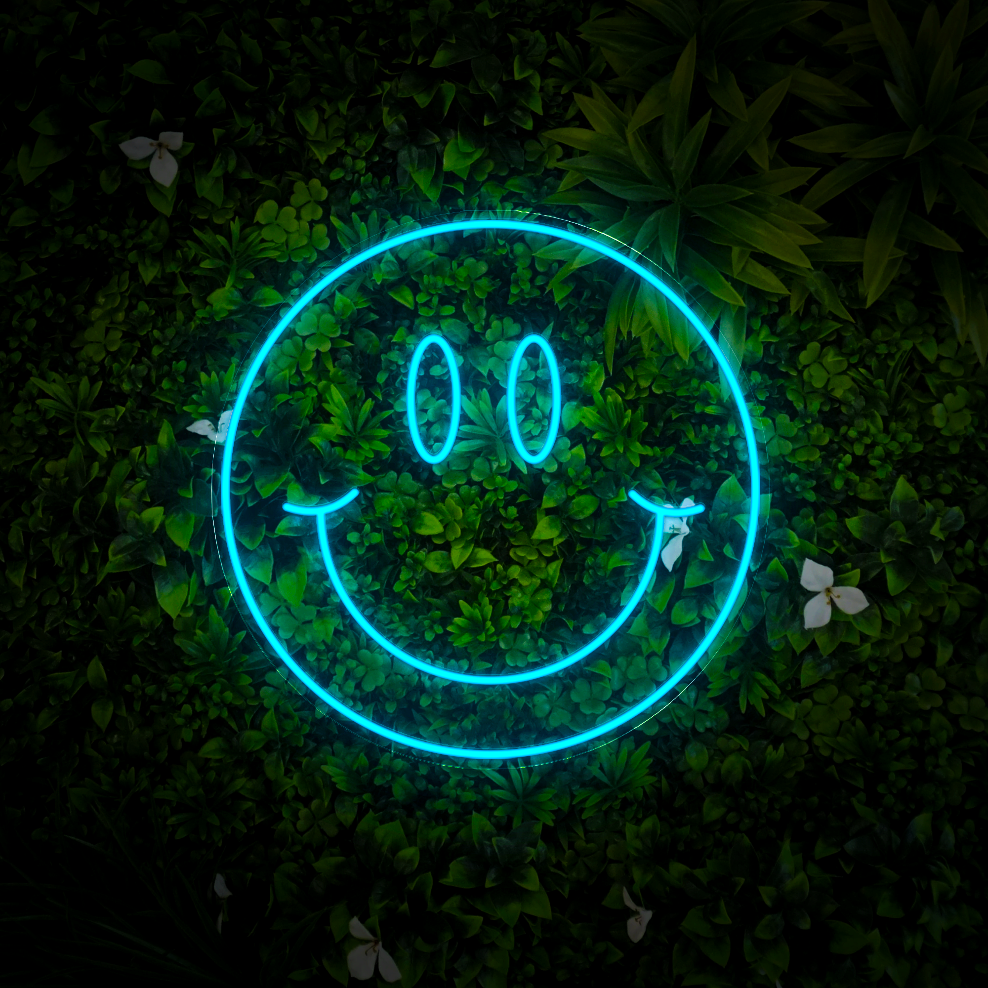 Smiley Face Neon Sign