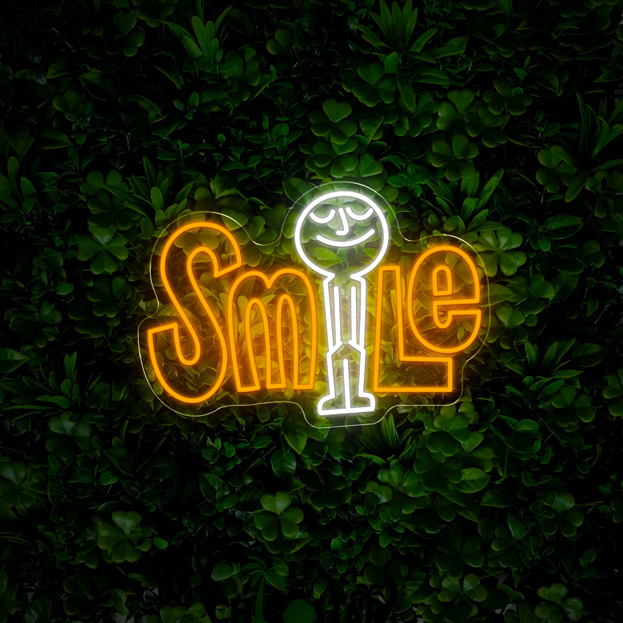 Smile Neon Sign