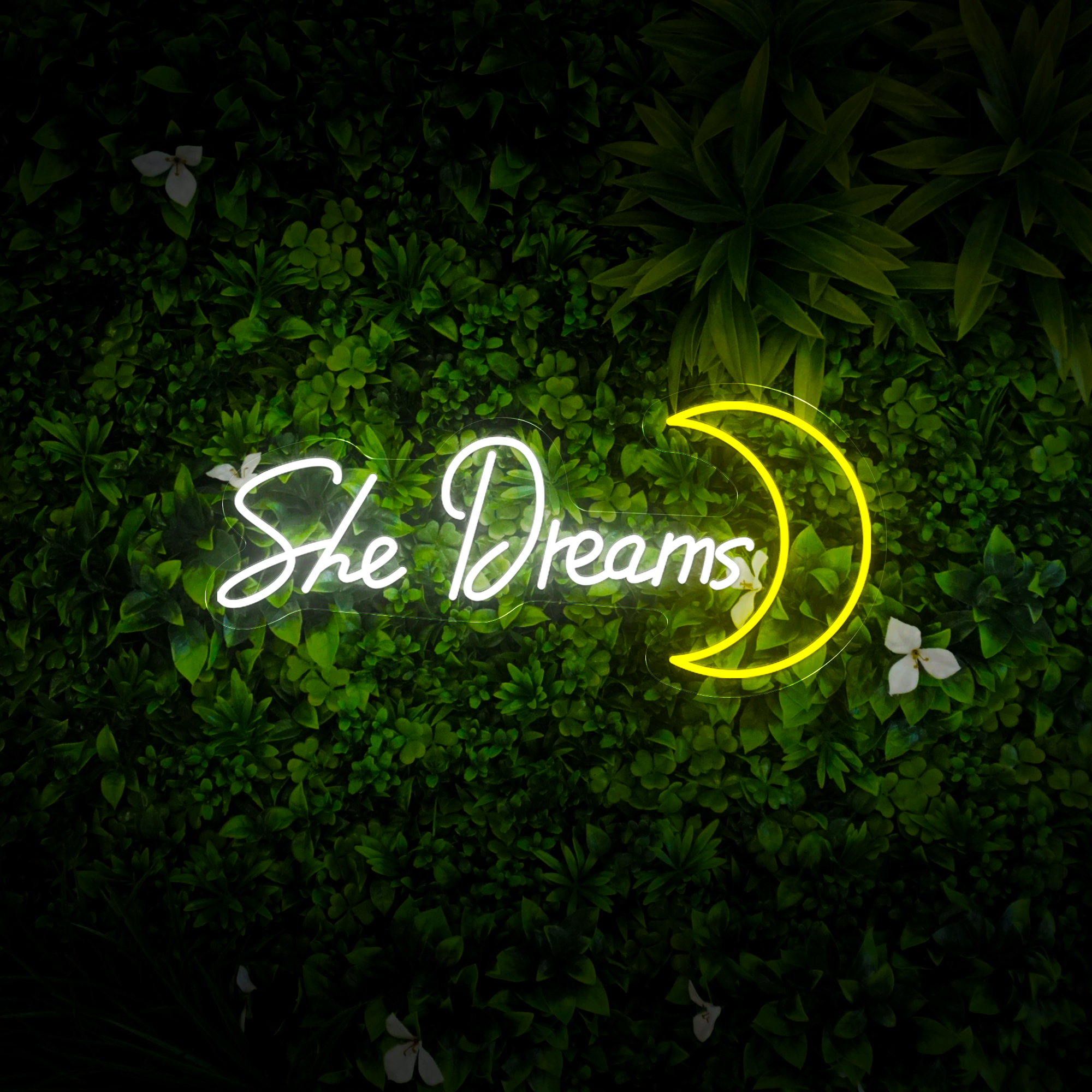 She Dreams Neon Sign