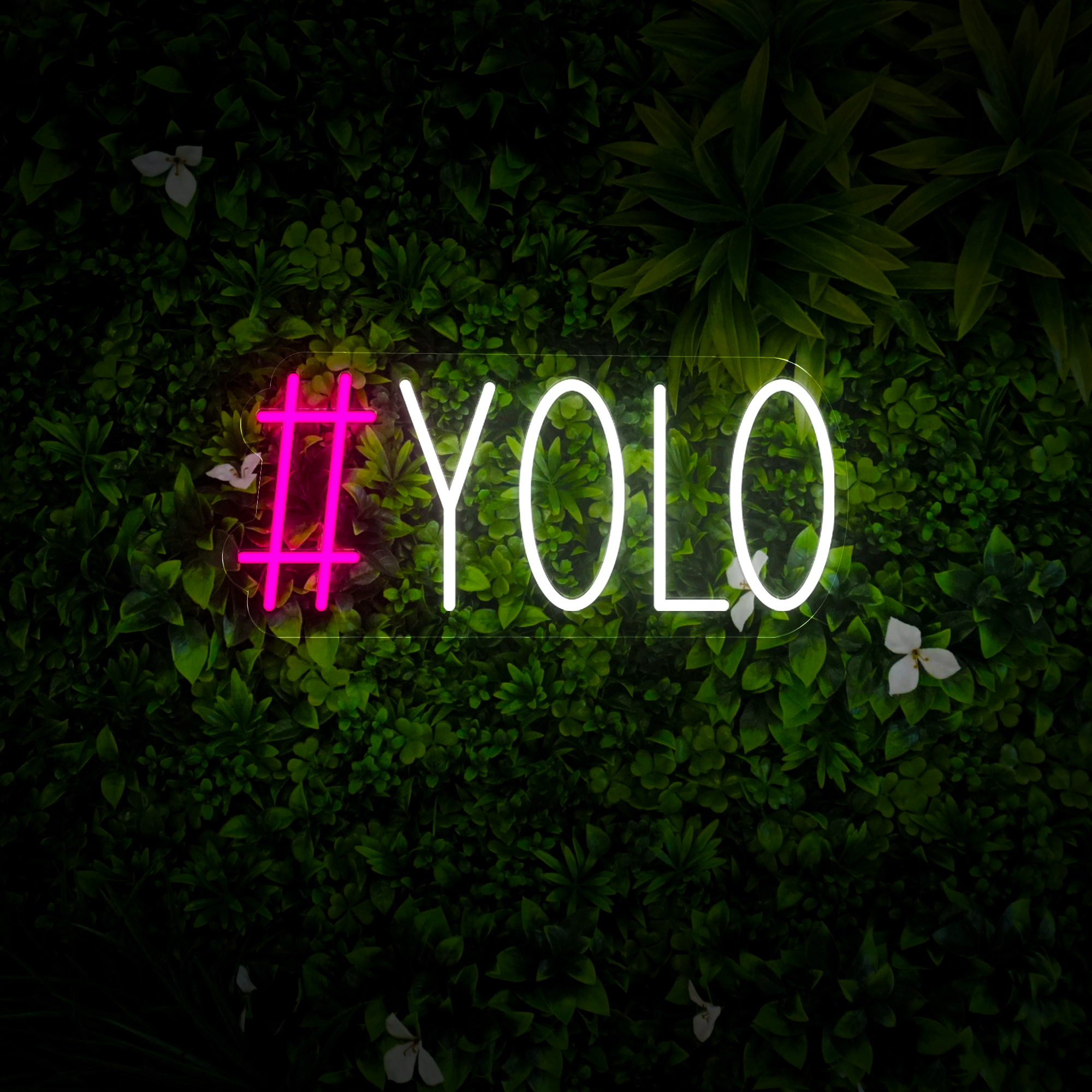 Yolo Neon Sign