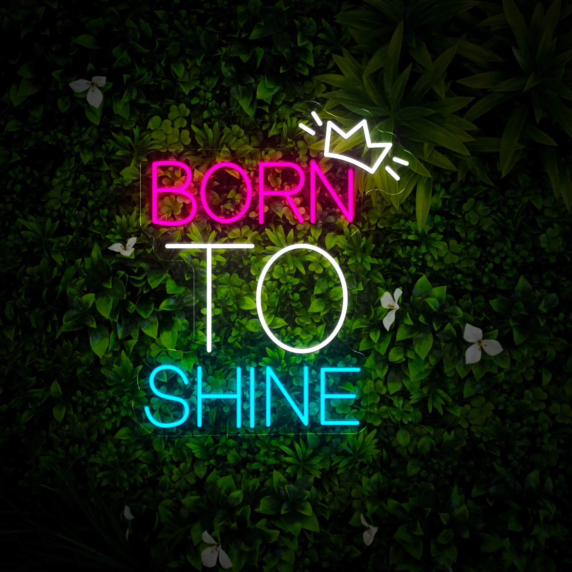 Born To Shine Neon Sign