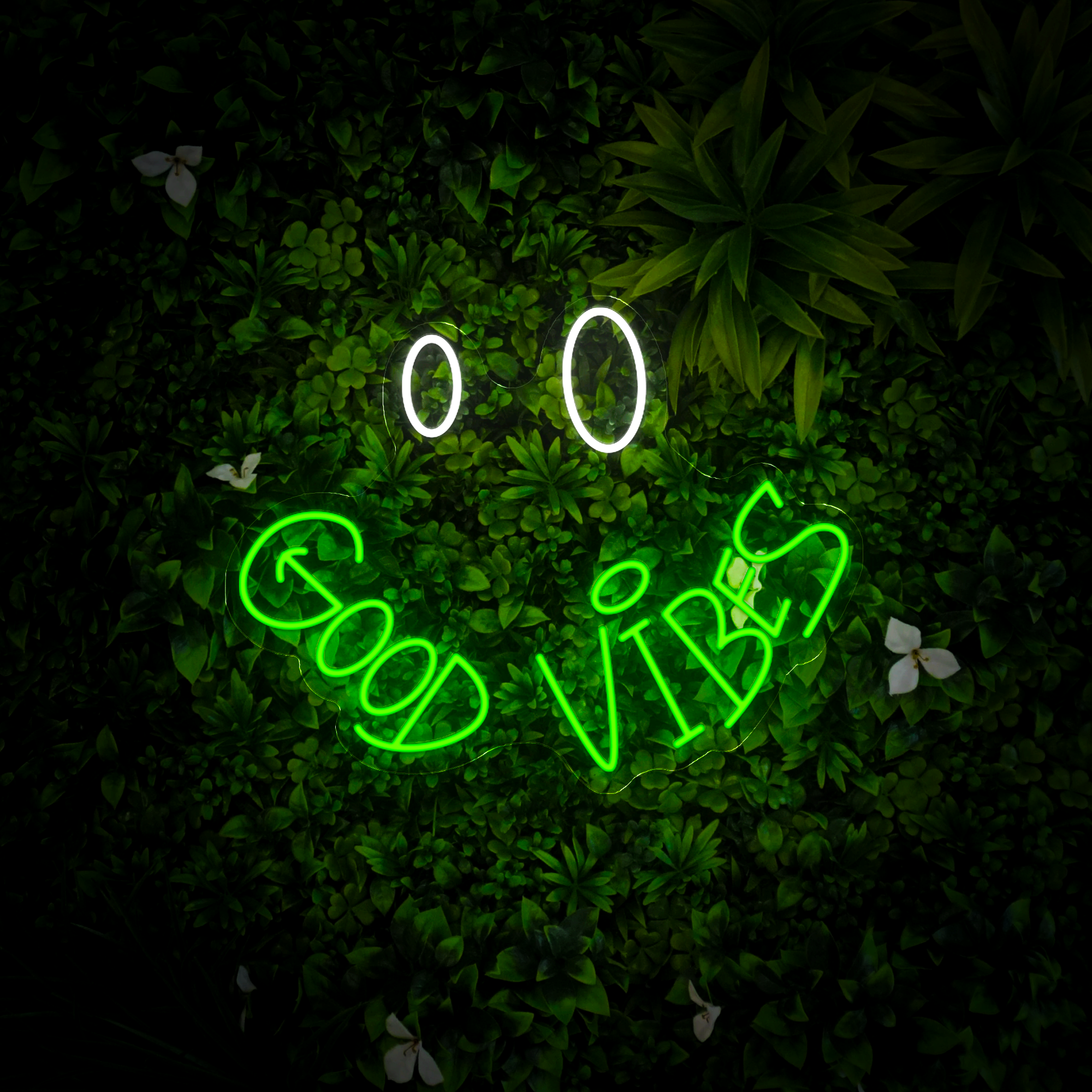 Good Vibes Neon Sign