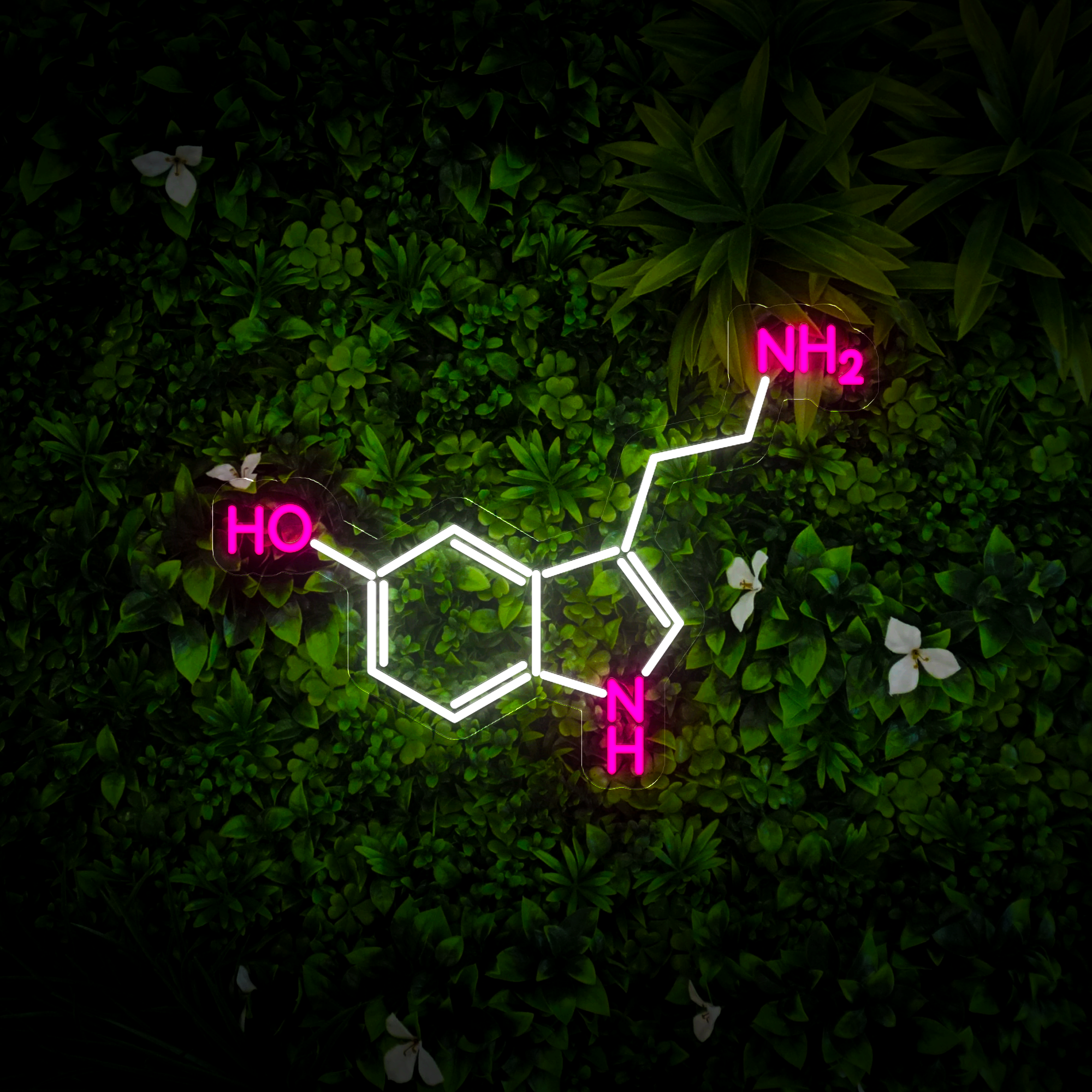 Serotonin Molecule Neon Sign