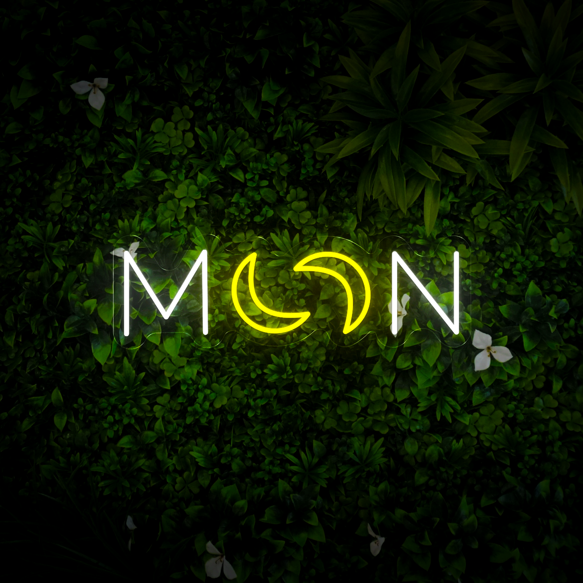 Moon Neon Sign