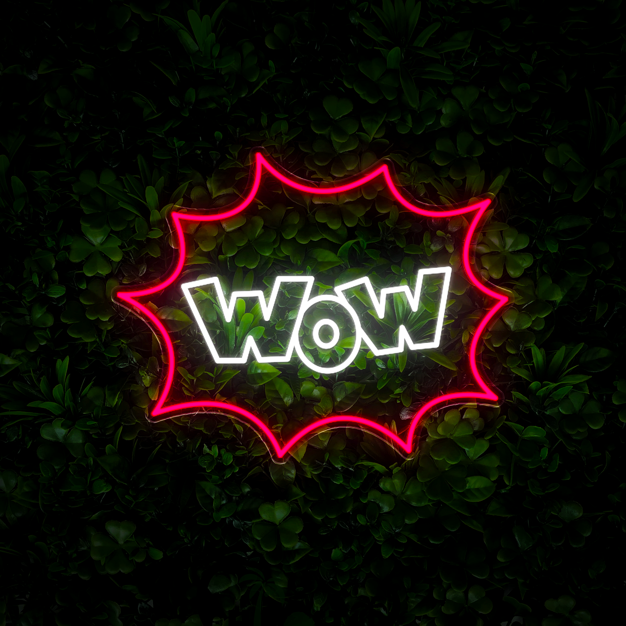 Wow! Neon Sign