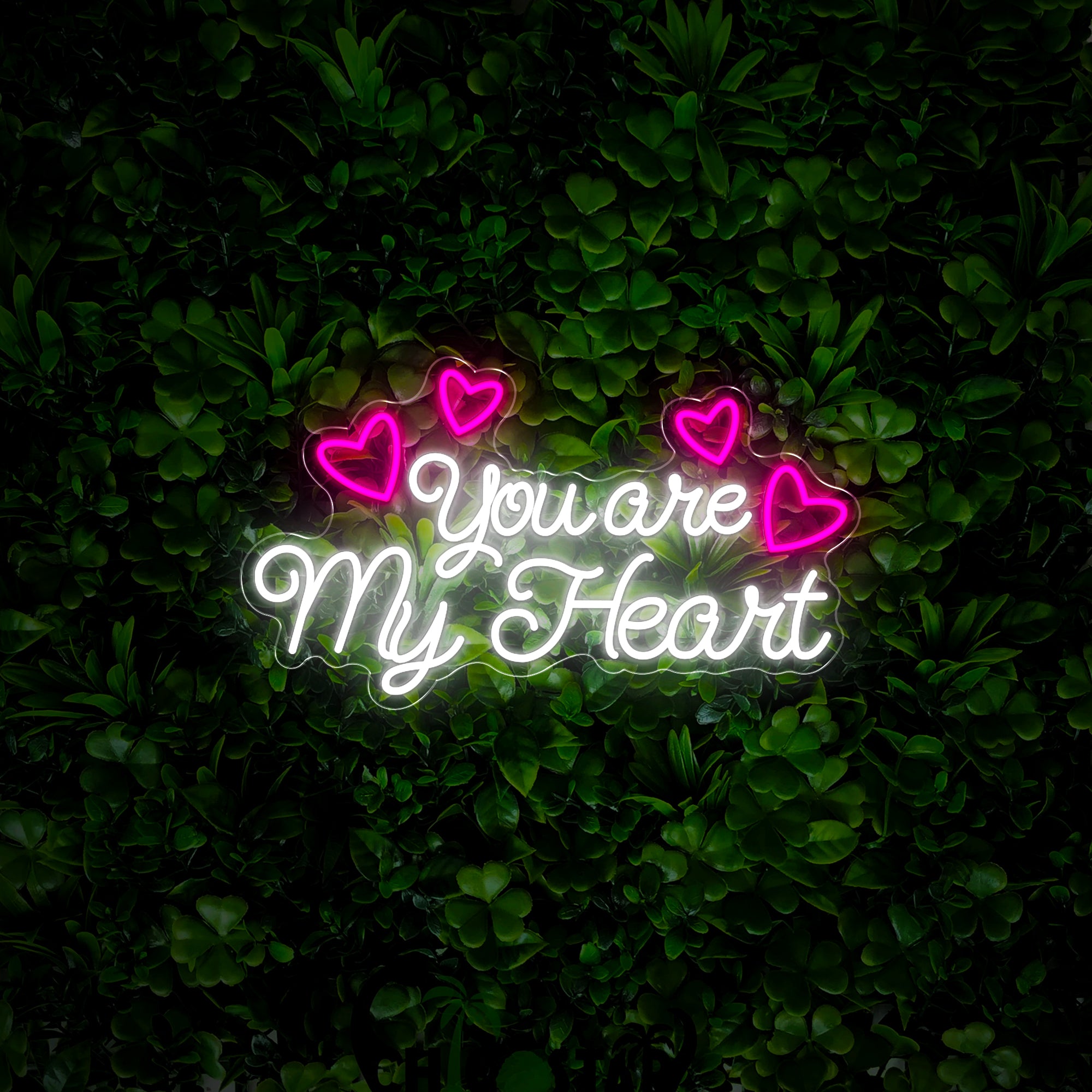 You Are My Heart Neon Sign