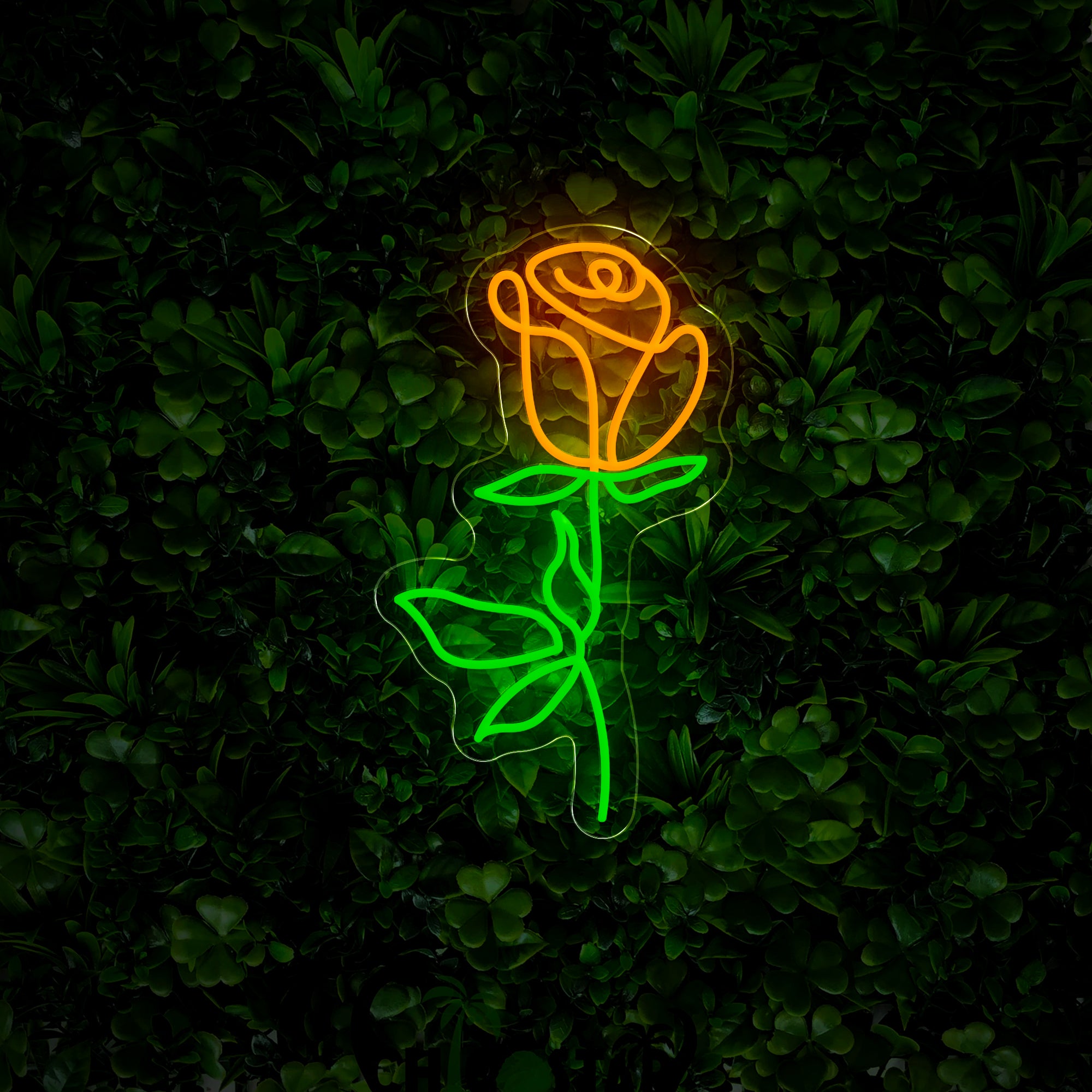 Rosie Neon Sign