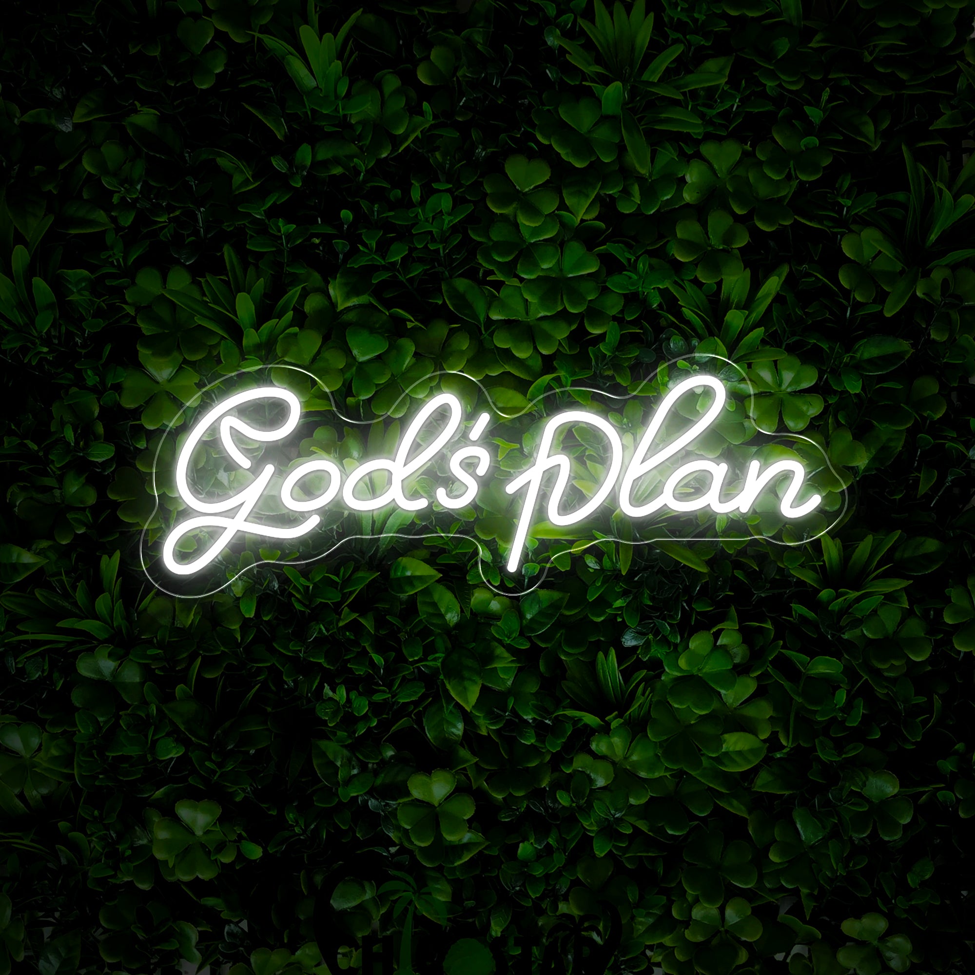 Christianity God's Plan Neon Sign