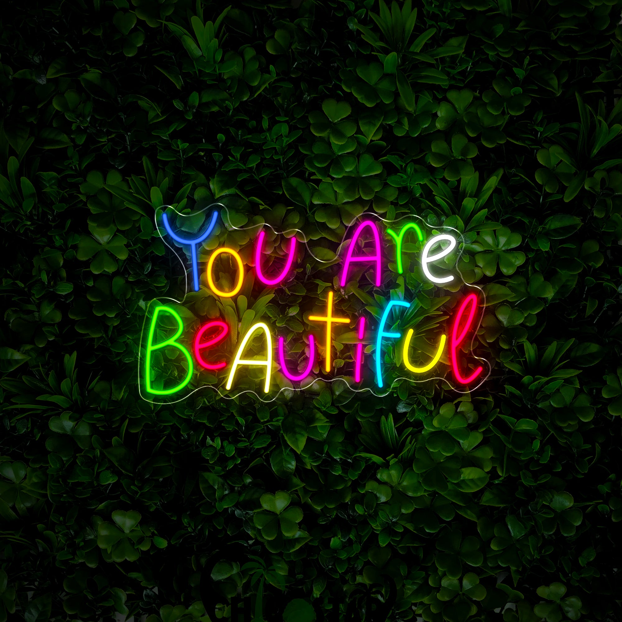 You Are Beautiful Neon Sign