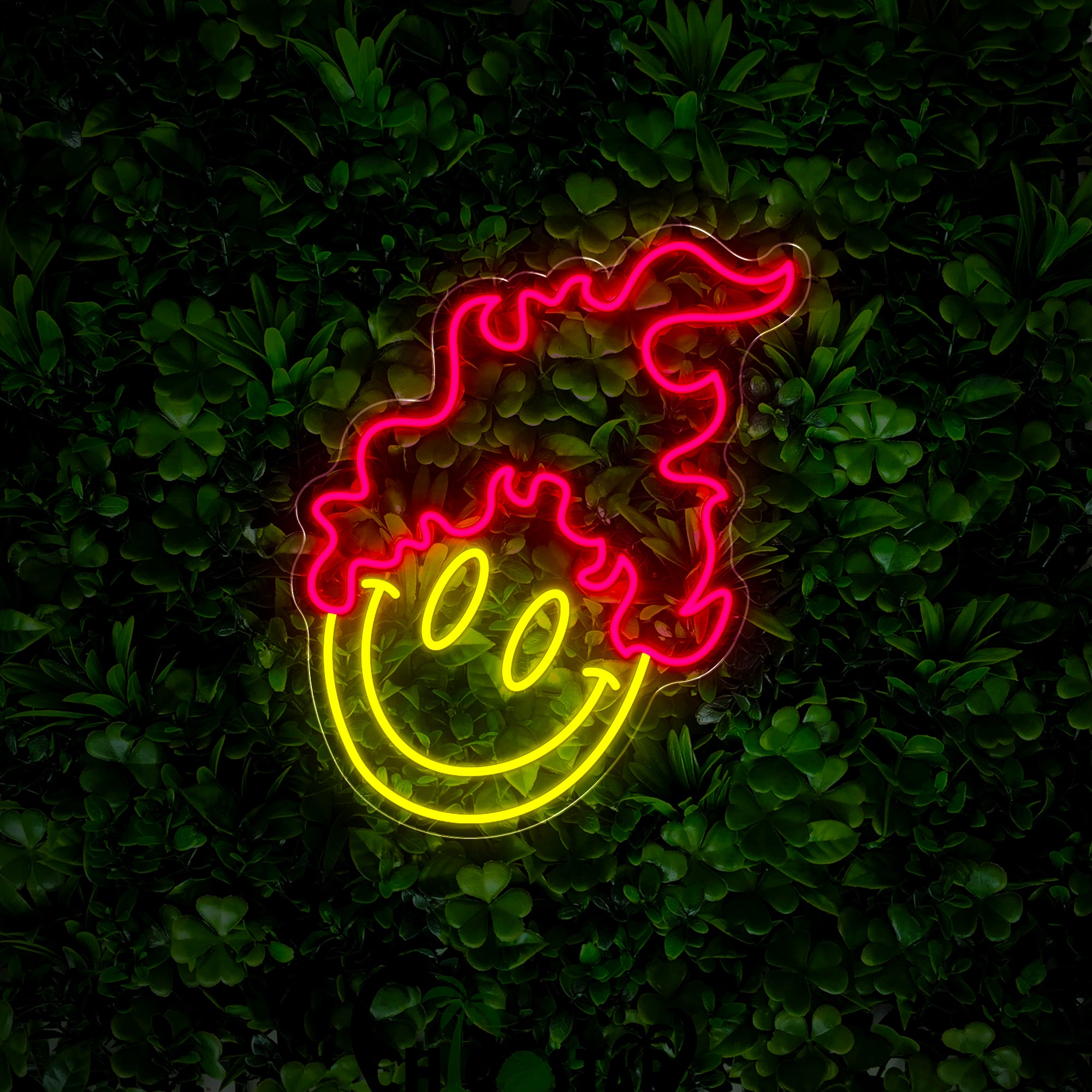 Burning Emoticon Neon Sign