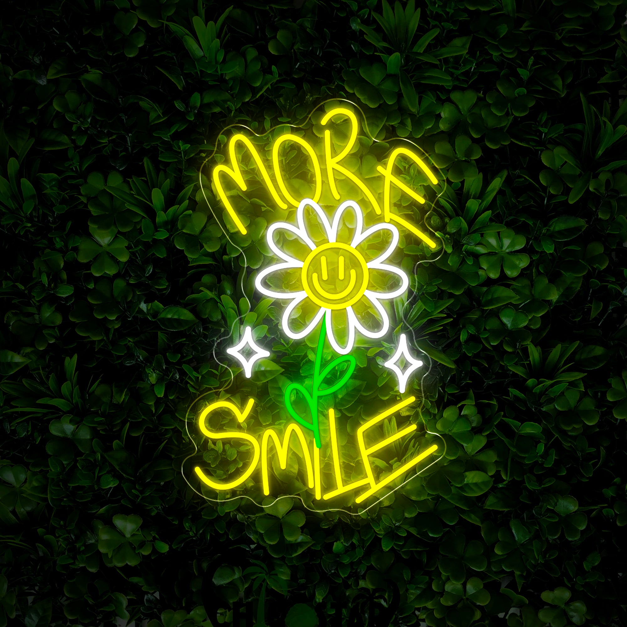 More Smile Neon Sign