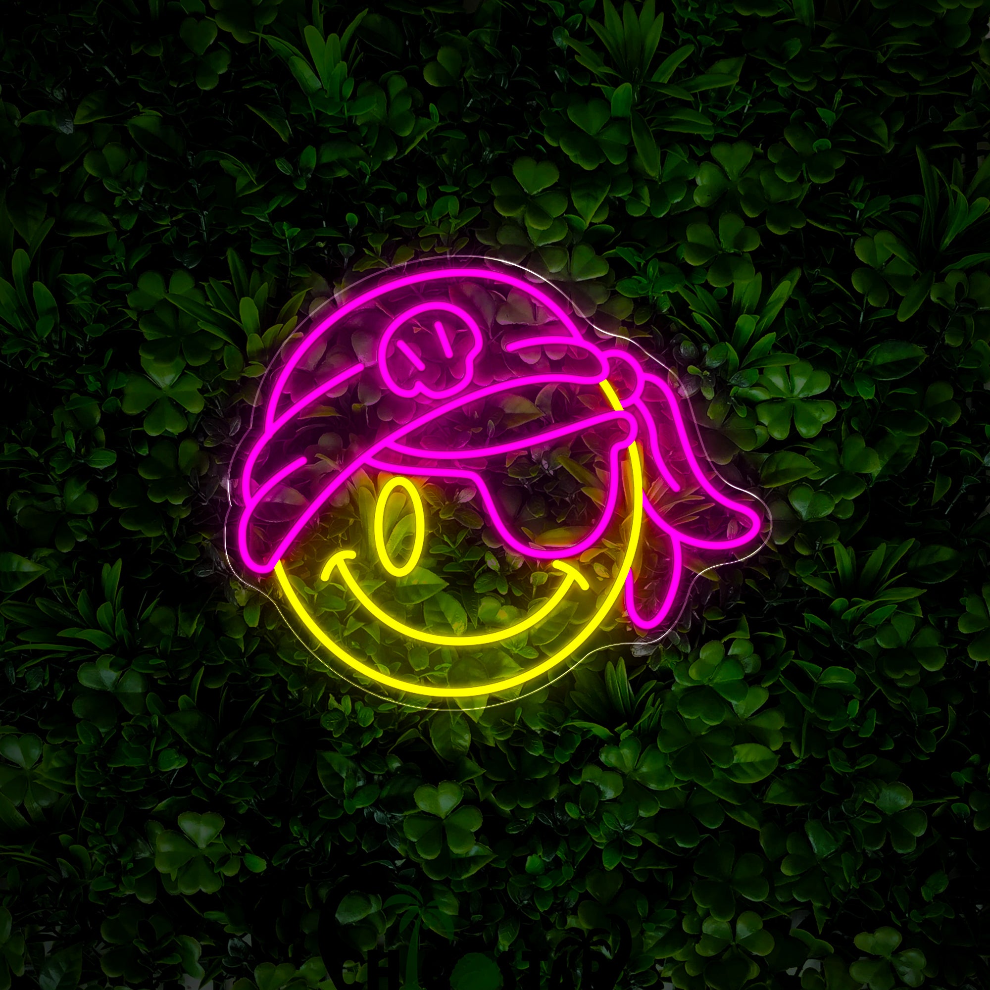 Pirate Emoticon Neon Sign