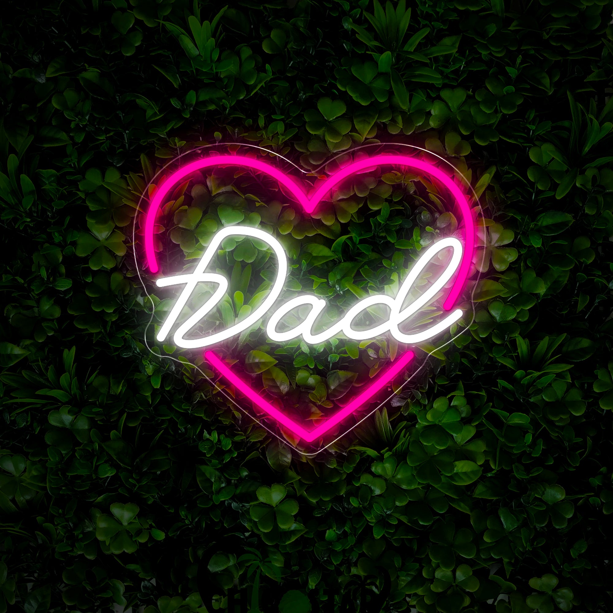 Father's Day Gift Neon Sign