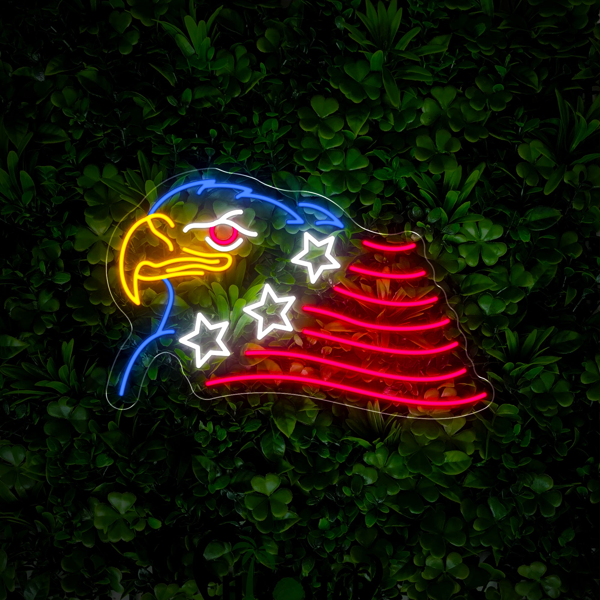 4th Of July Bald Eagle Neon Sign