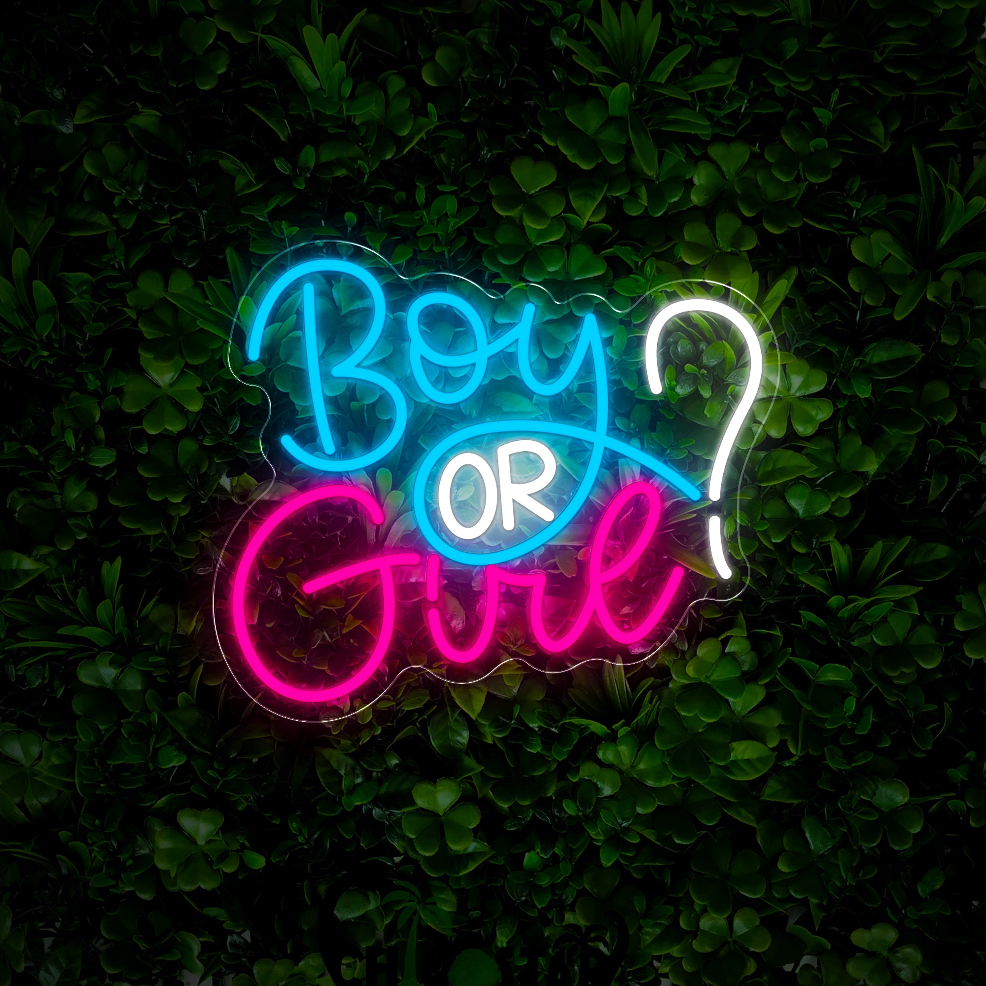 Boy Or Girl Gender Reveal Party Neon Sign