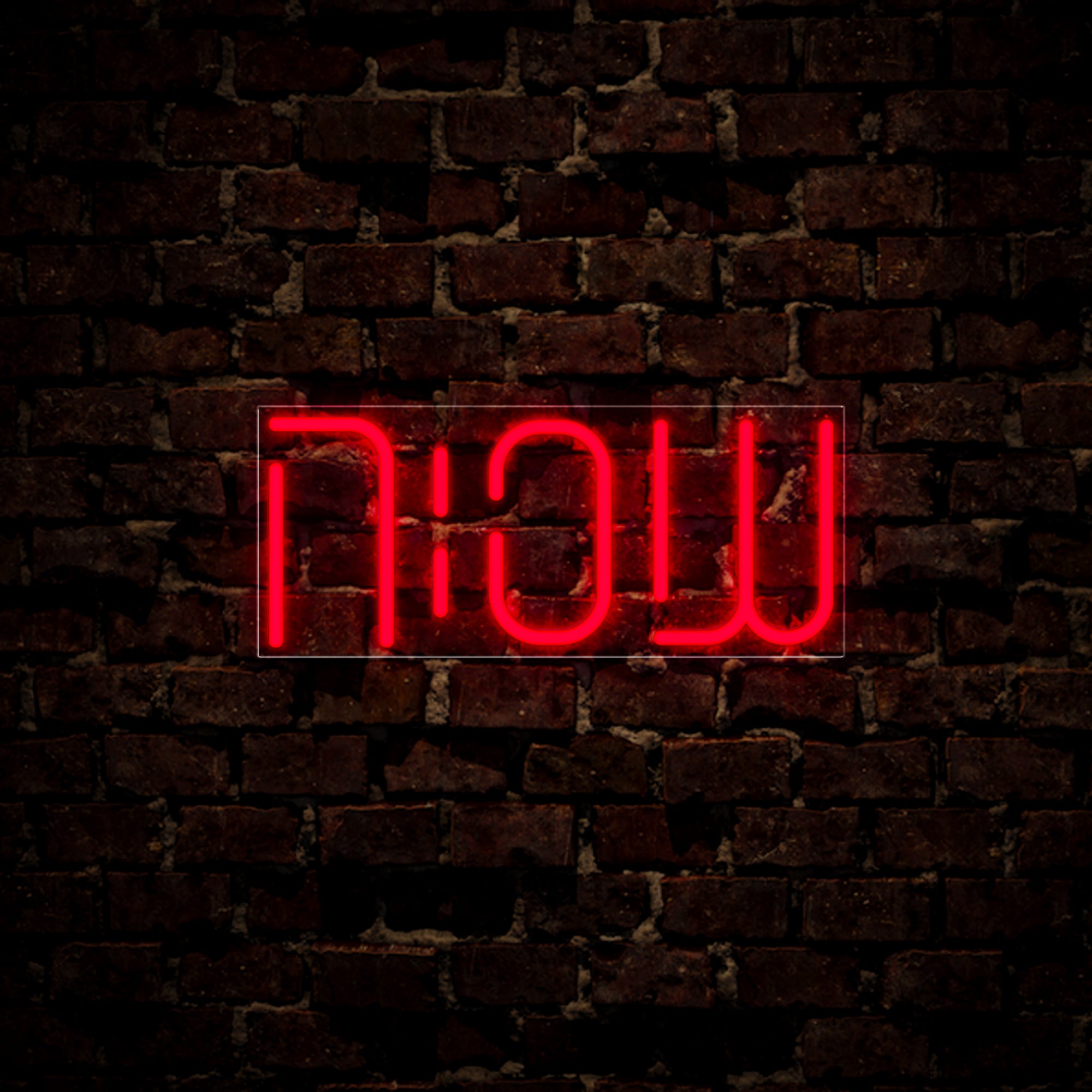 Now Or Never Neon Sign