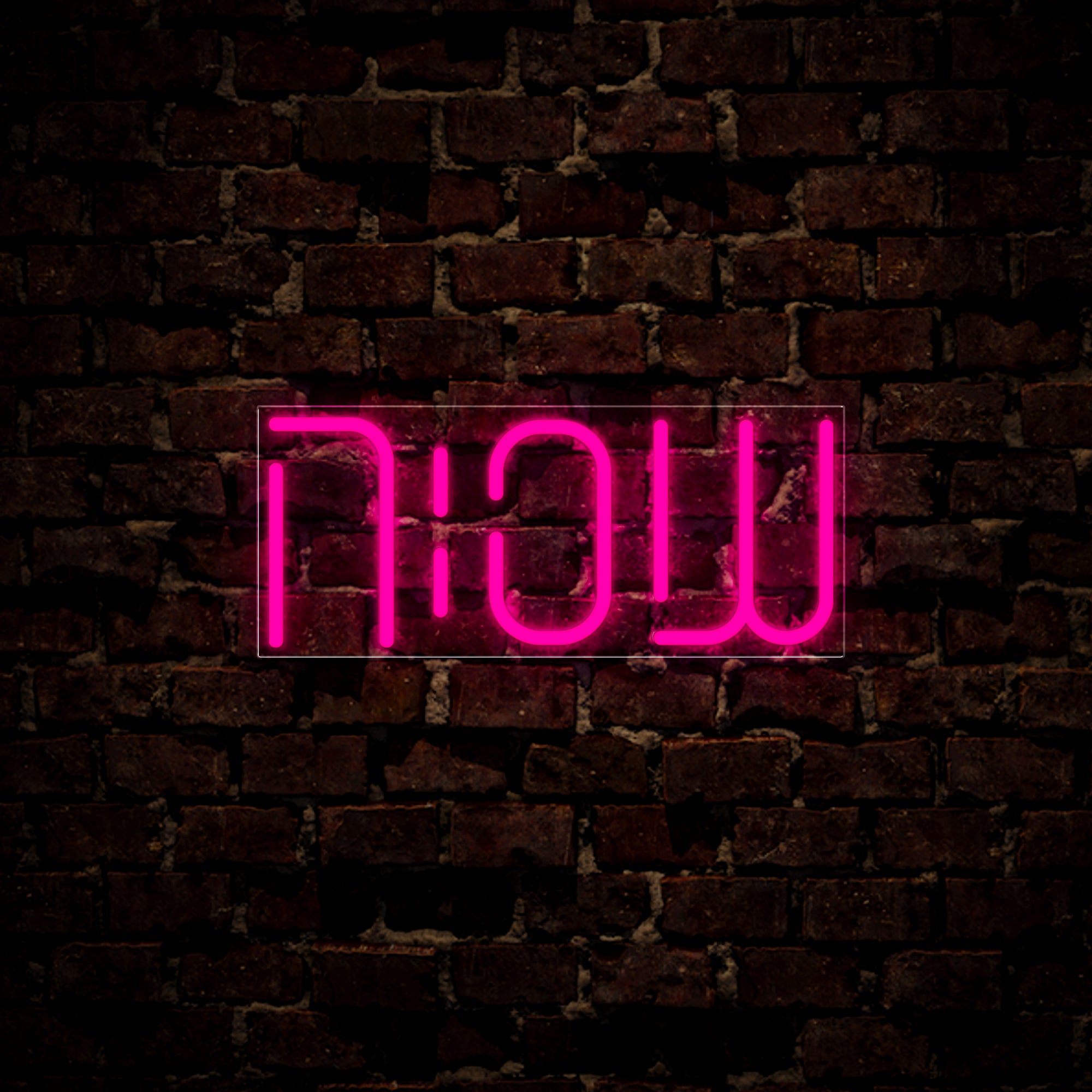 Now Or Never Neon Sign