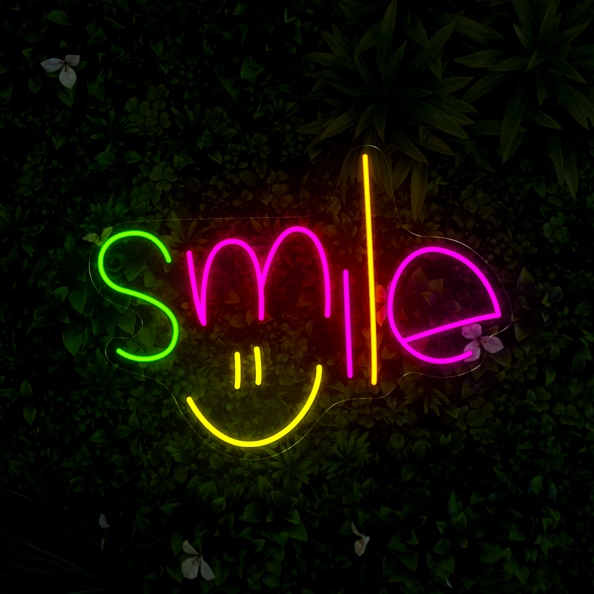 Smile Neon Sign