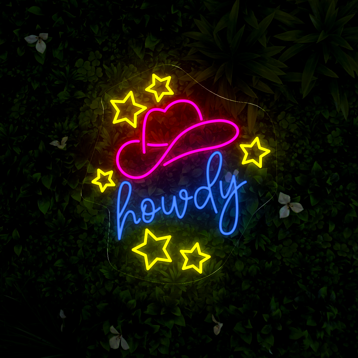 Howdy Neon Sign