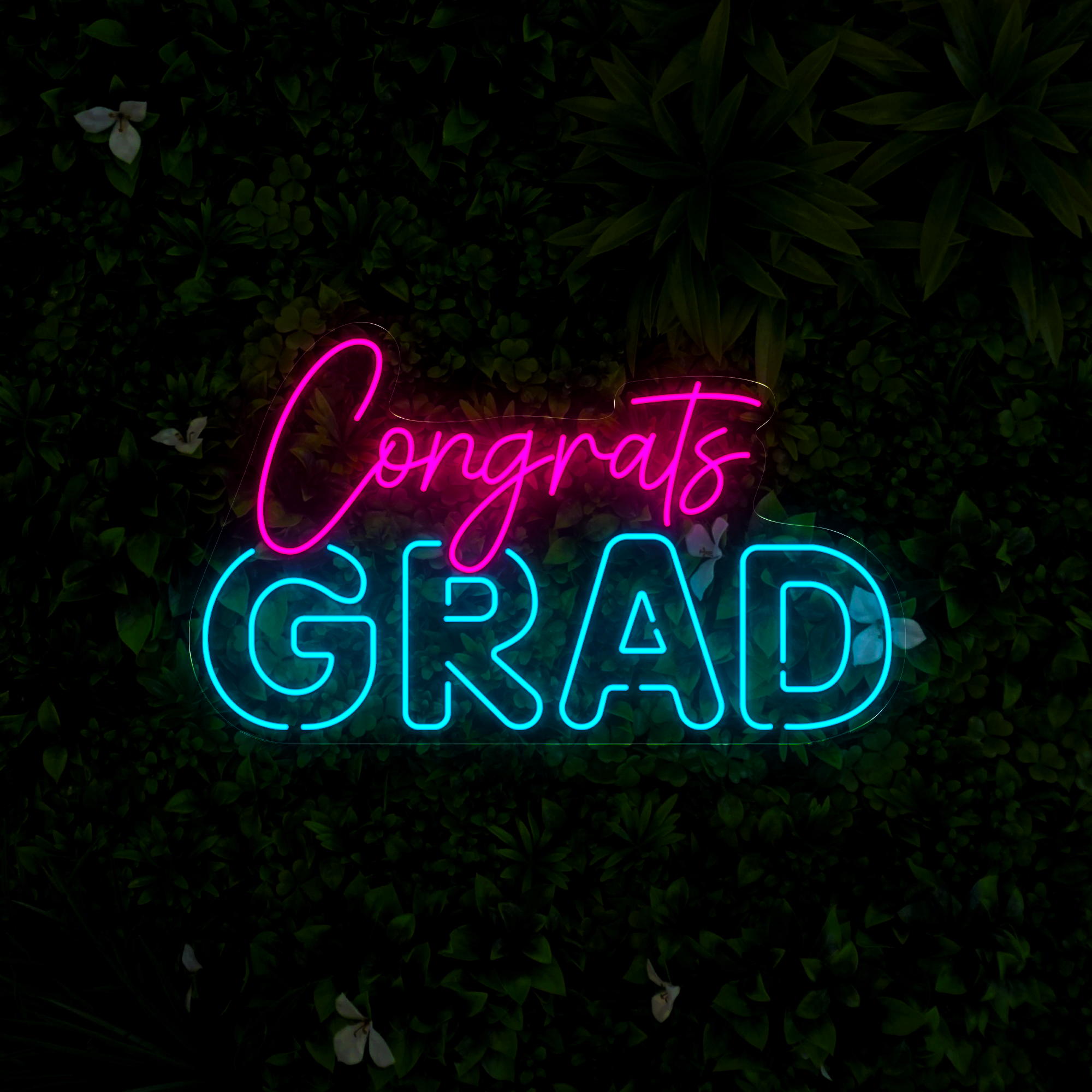 Congrats Grad Neon Sign