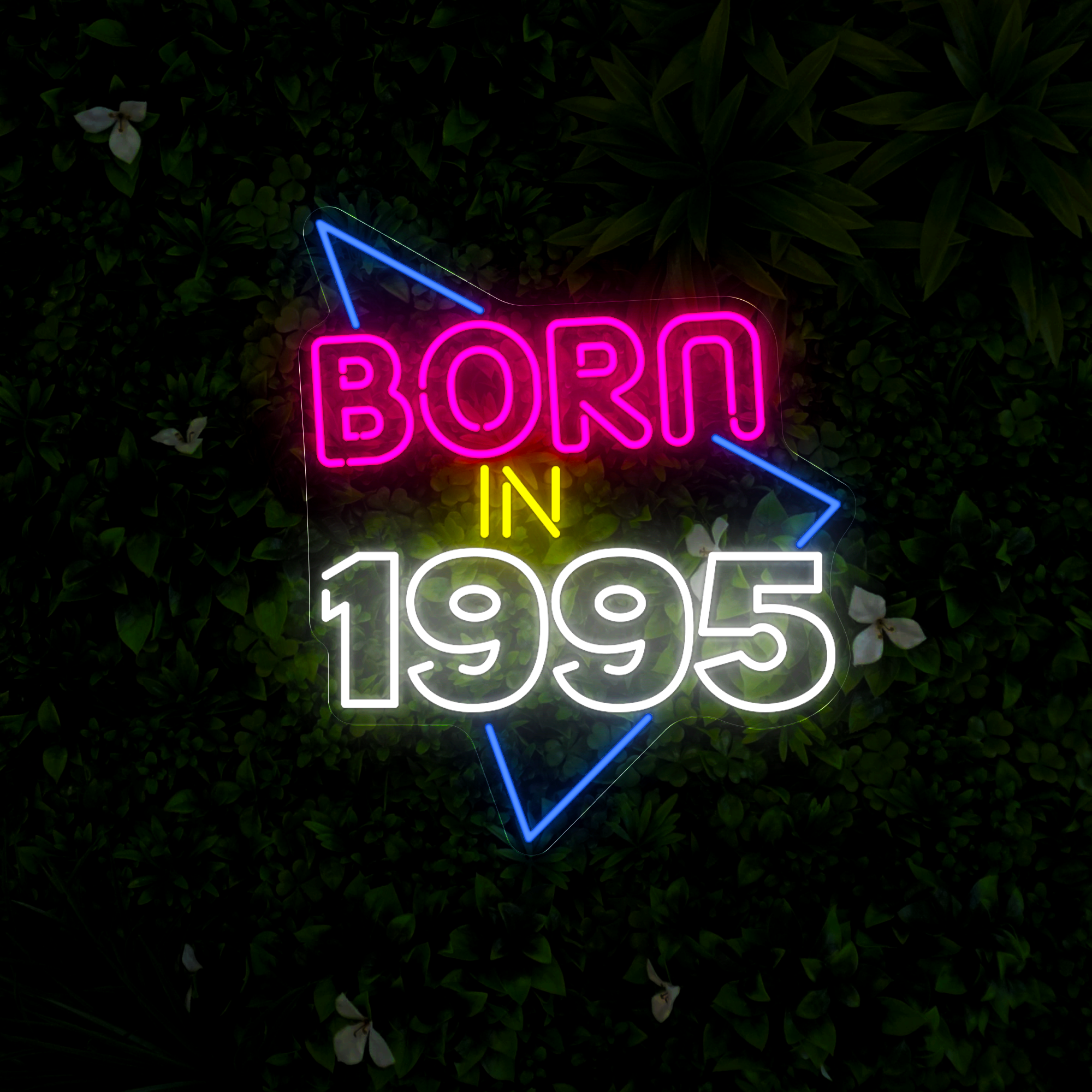 Born In 1995 Neon Sign