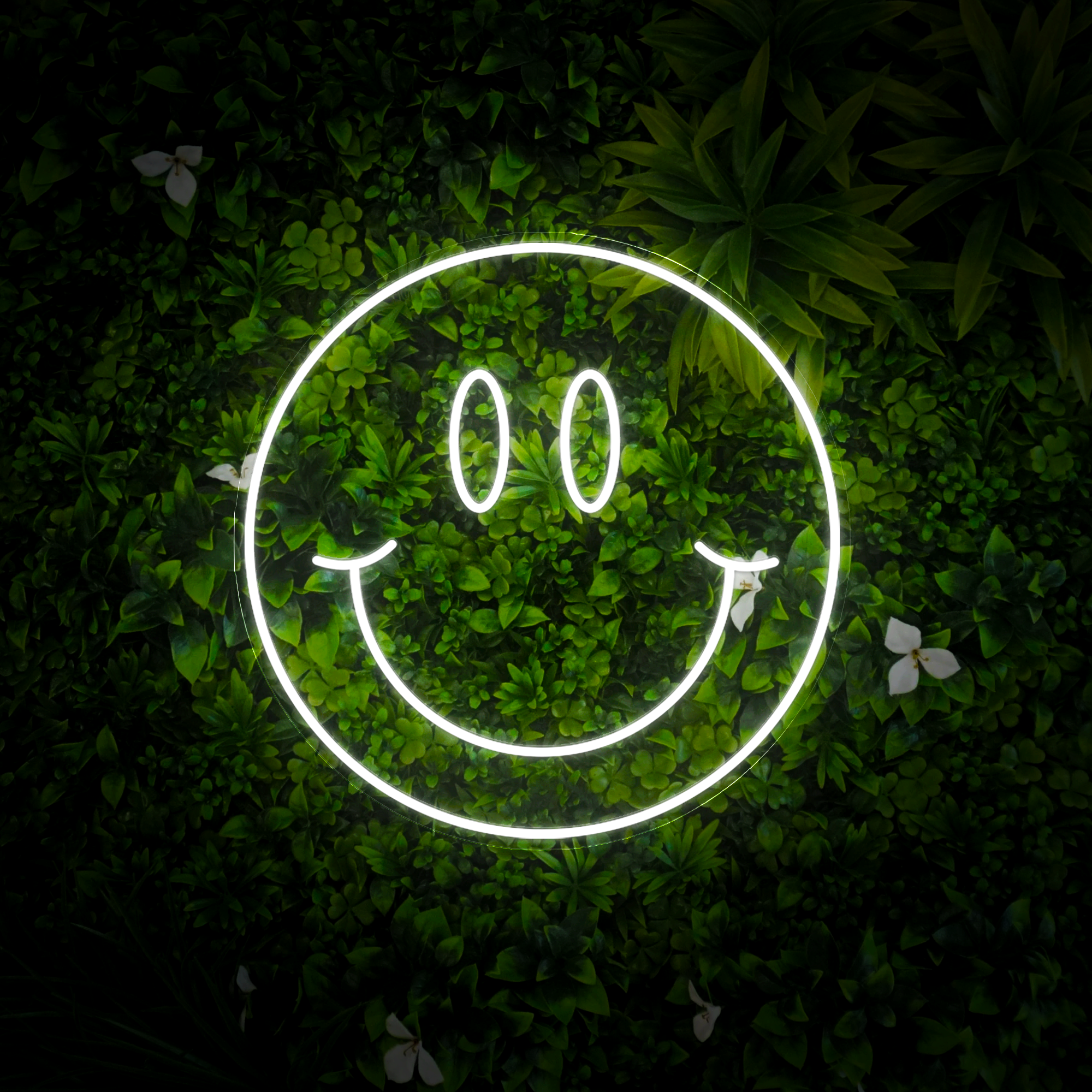 Smiley Face Neon Sign