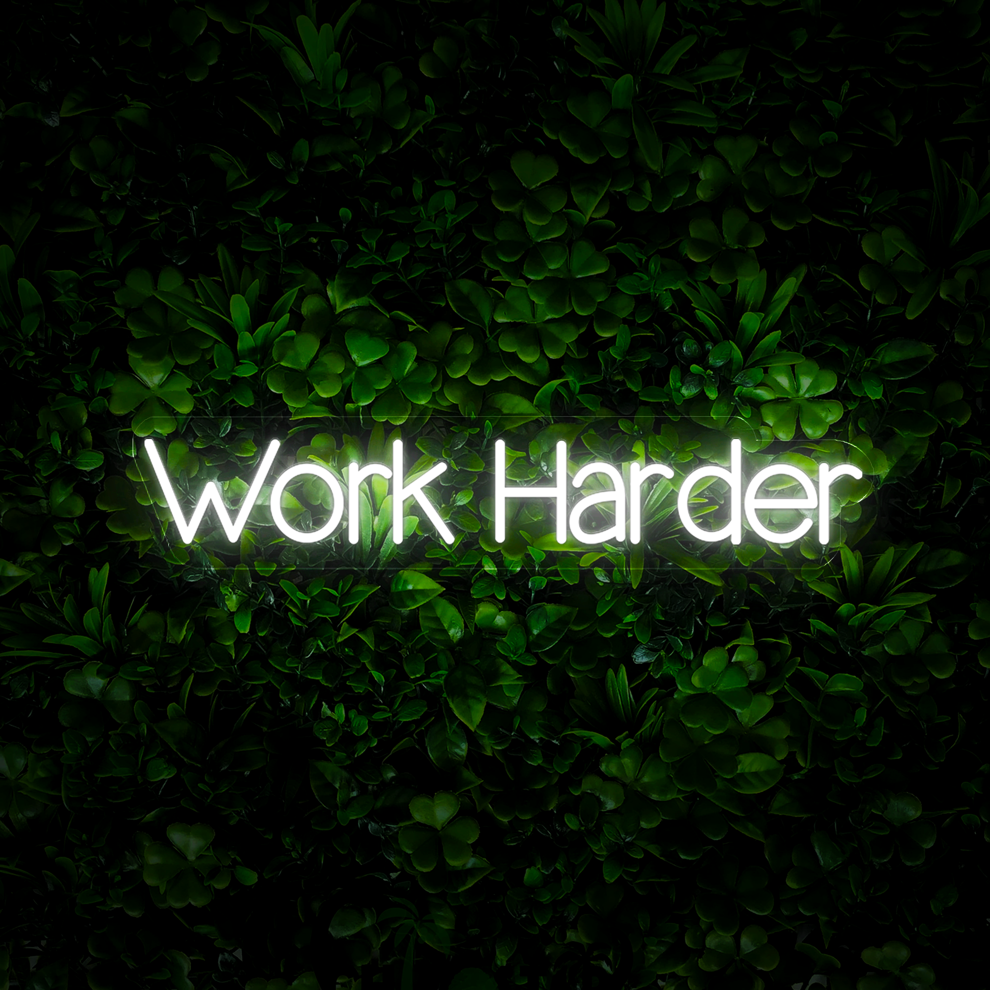 Work Harder Neon Sign