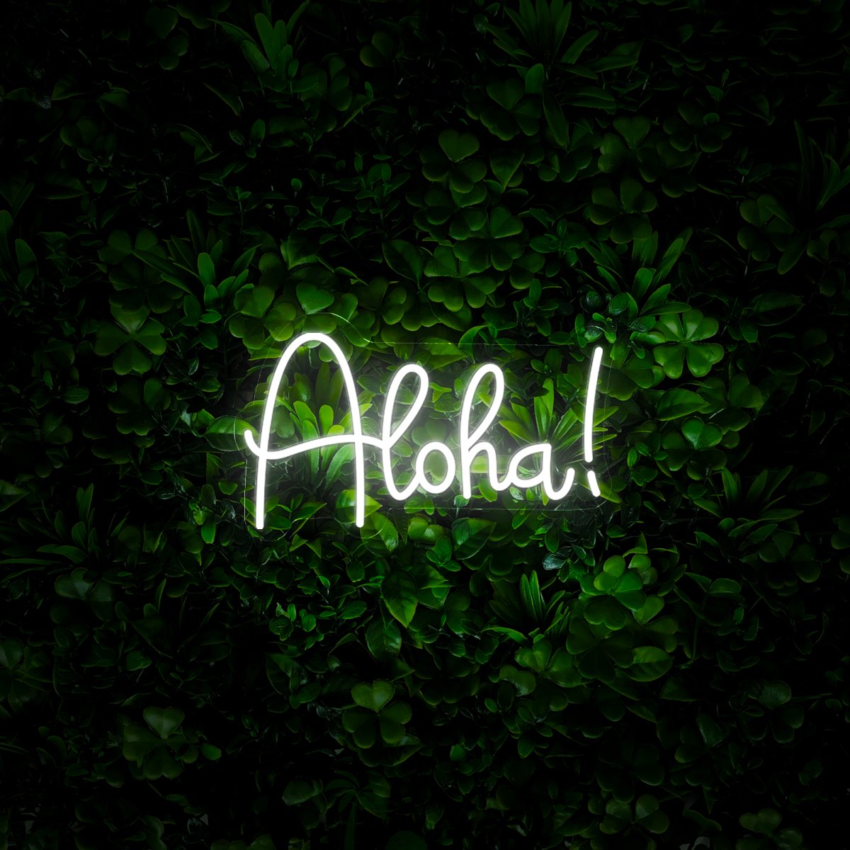 Aloha Neon Sign - Reels Custom