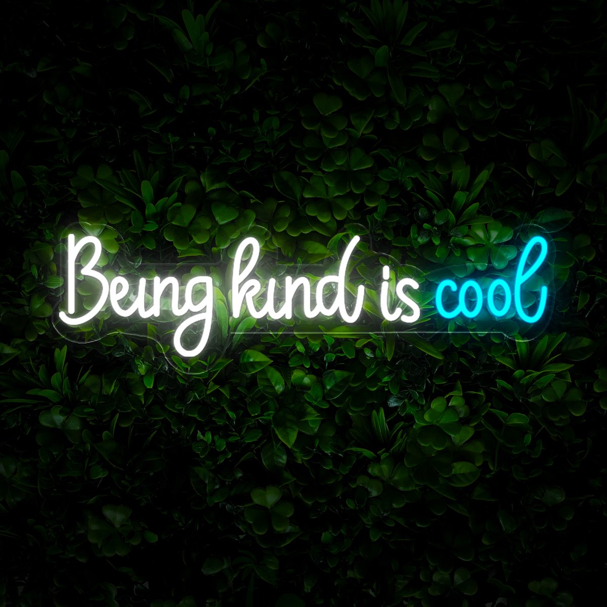 Being Kind Is Cool Neon Sign - Reels Custom