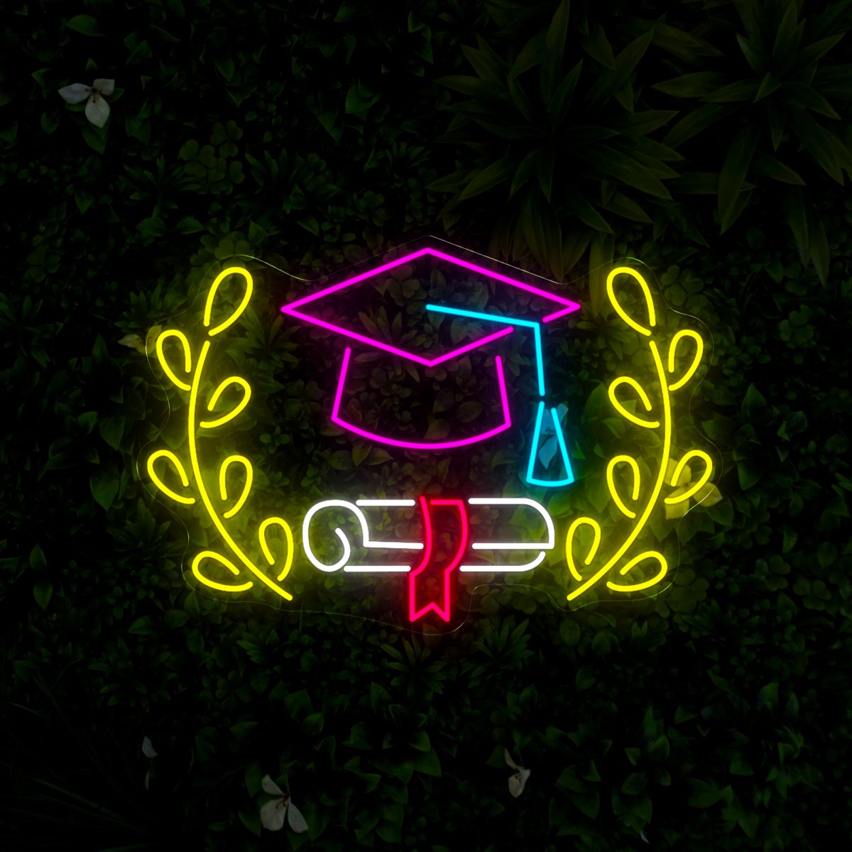 Book And Graduate Cap Neon Sign - Reels Custom