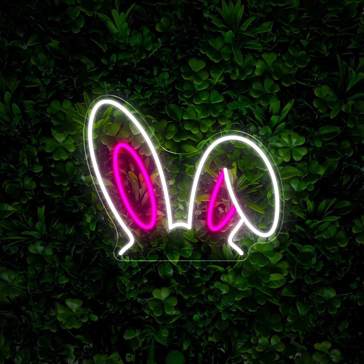 Bunny Neon Sign - Reels Custom