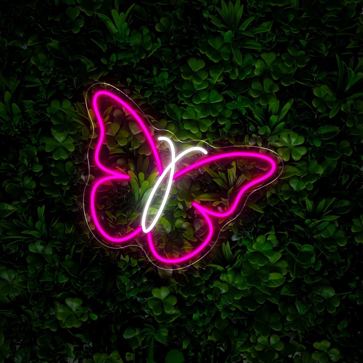 Butterfly Swirl Neon Sign - Reels Custom