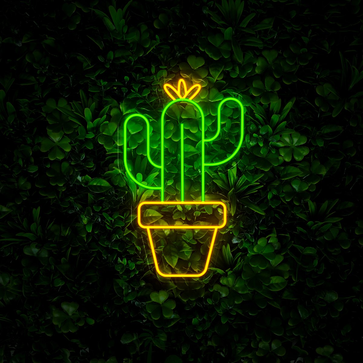 Cactus Neon Sign - Reels Custom