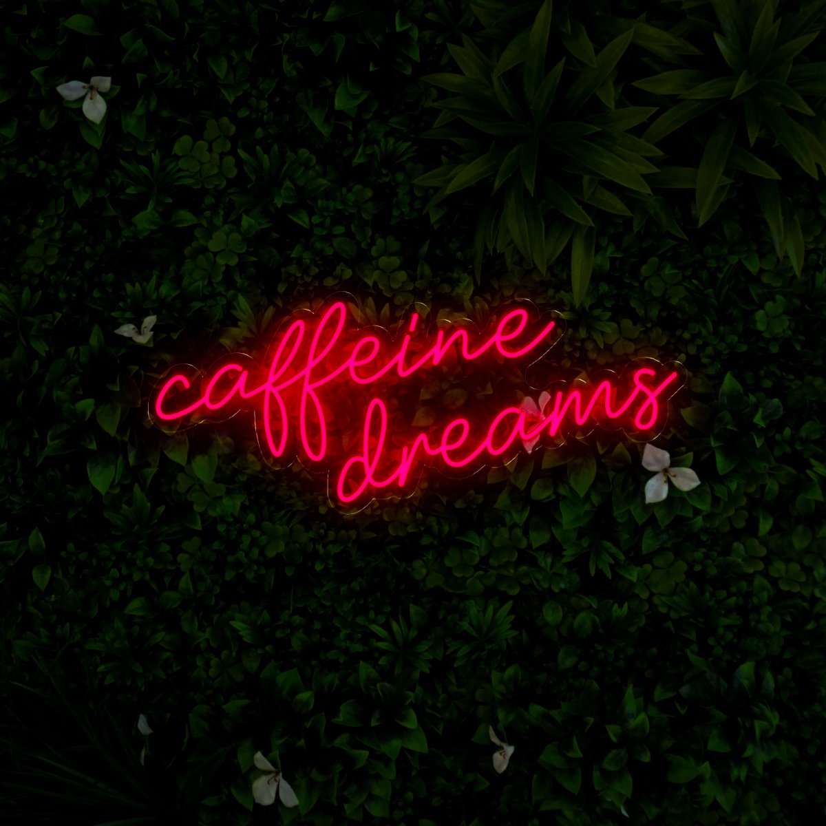 Caffeine Dreams Led Neon Sign - Reels Custom