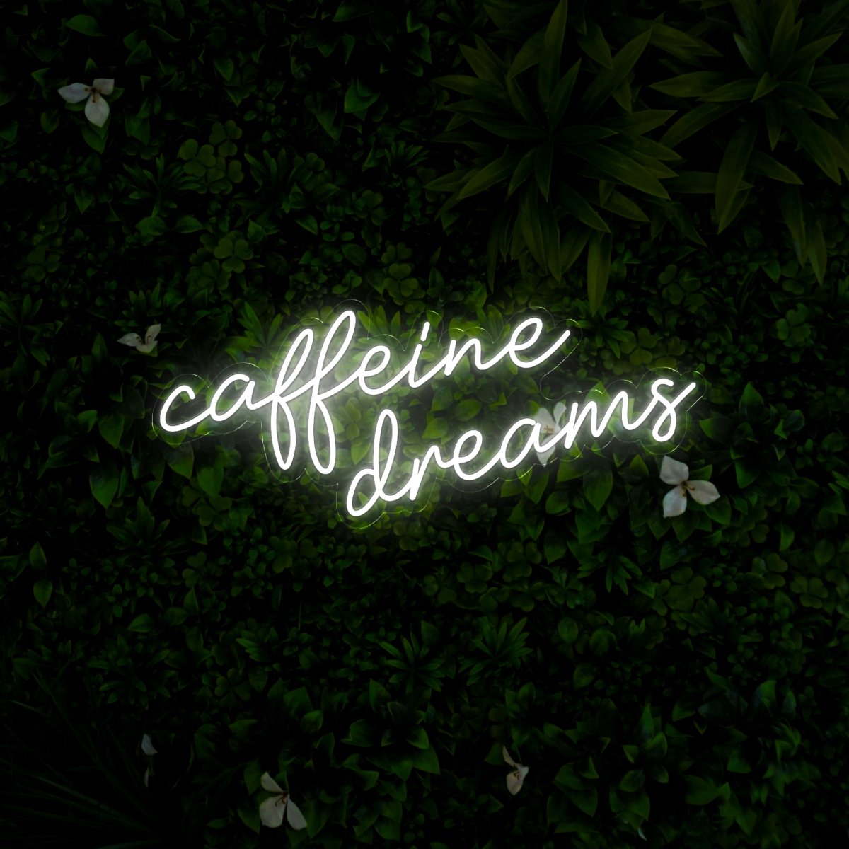 Caffeine Dreams Led Neon Sign - Reels Custom