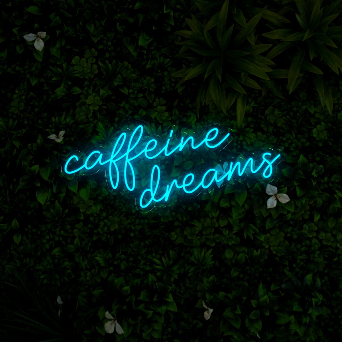 Caffeine Dreams Led Neon Sign - Reels Custom