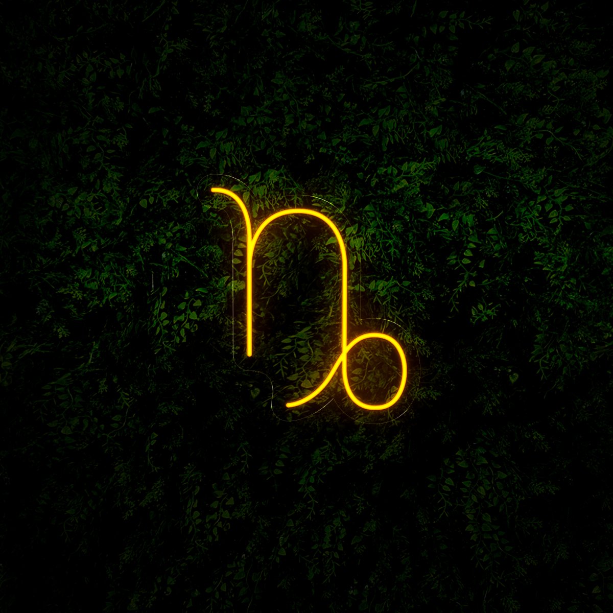 Capricorn Zodiac Led Neon Sign - Reels Custom
