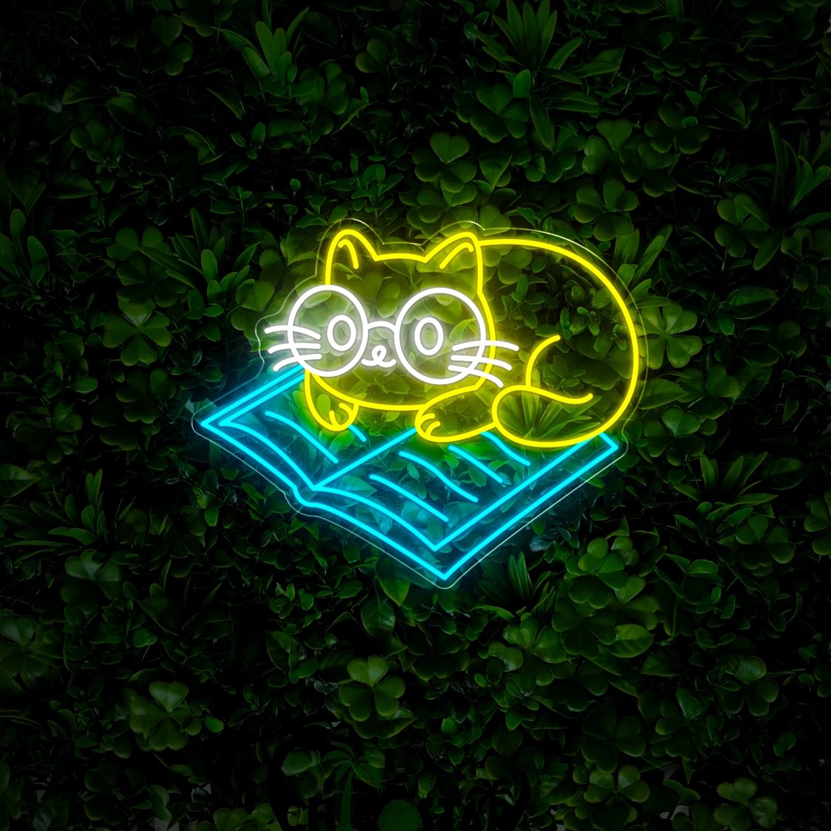 Cat On Book Neon Sign - Reels Custom