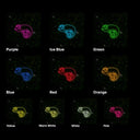 Chameleon Neon Sign - Reels Custom