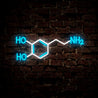 Chemical HO Neon Sign - Reels Custom