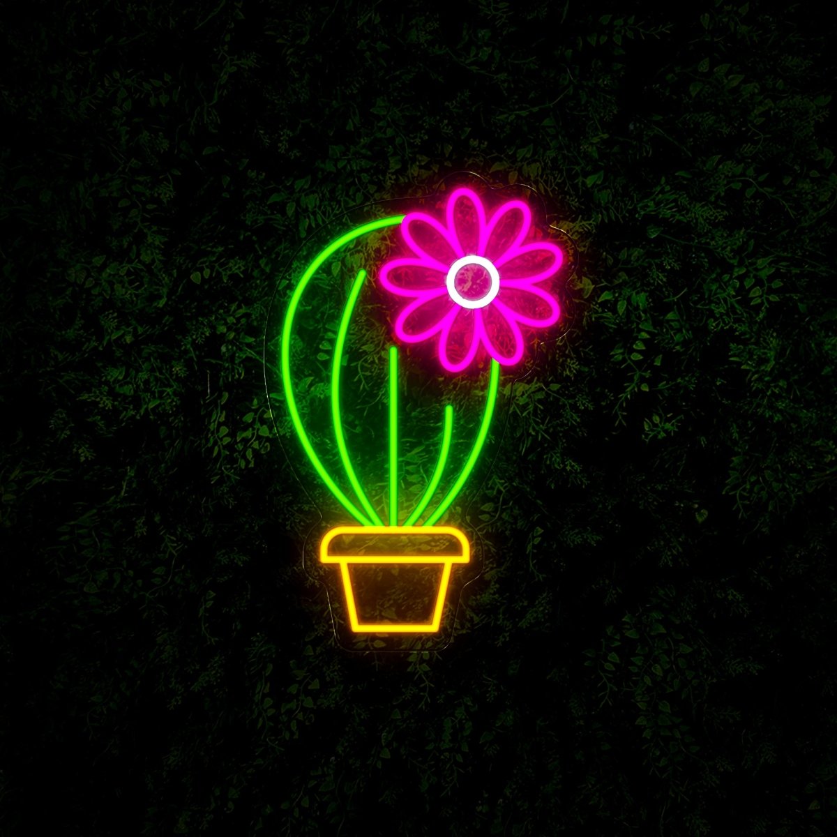 Cinco De Mayo Cactus Led Neon Sign - Reels Custom