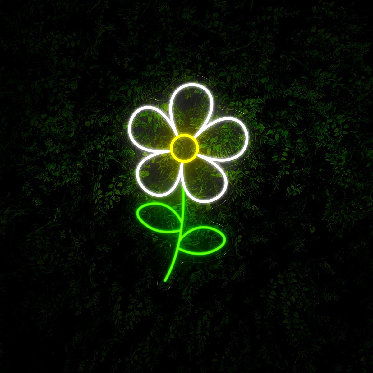 Cute Daisy Led Neon Sign - Reels Custom