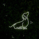 Dachshund Dog Neon Sign - Reels Custom
